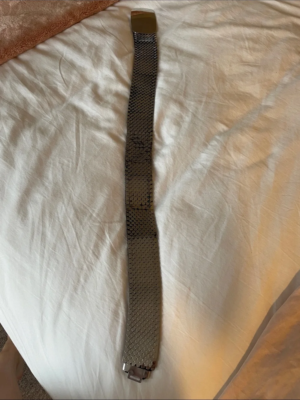 Vintage Wide Silver Mesh Stretch Belt